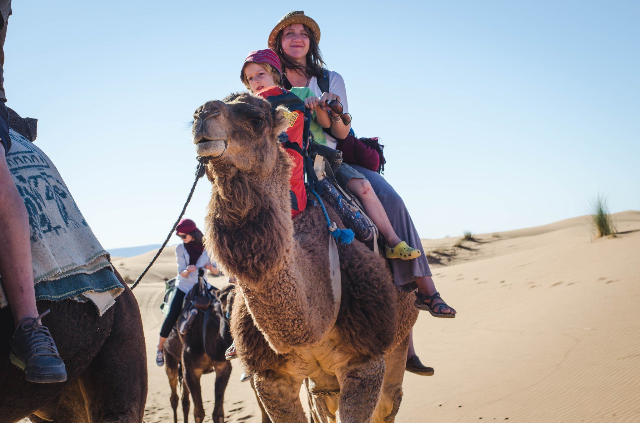 Morocco Camel Trekking Tours